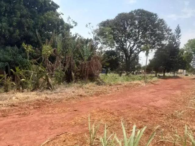 Sítio / Chácara para Venda em Cosmópolis/SP Jardim Campos Salles