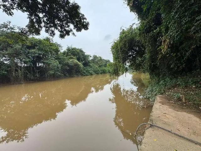 Sítio / Chácara para Venda em Cosmópolis/SP Tanque Furado 3 Quartos