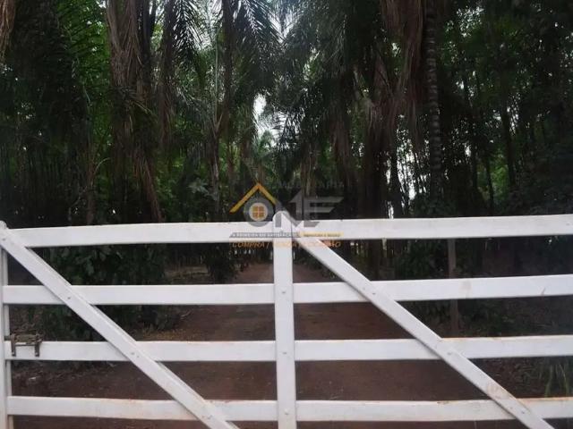 Sítio / Chácara para Venda em Cosmorama/SP Centro 4 Quartos