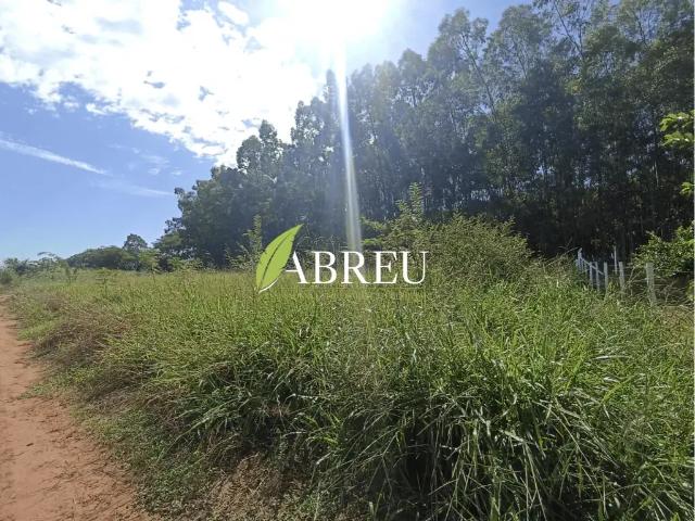 Sítio / Chácara para Venda em Cosmorama/SP Zona Rural