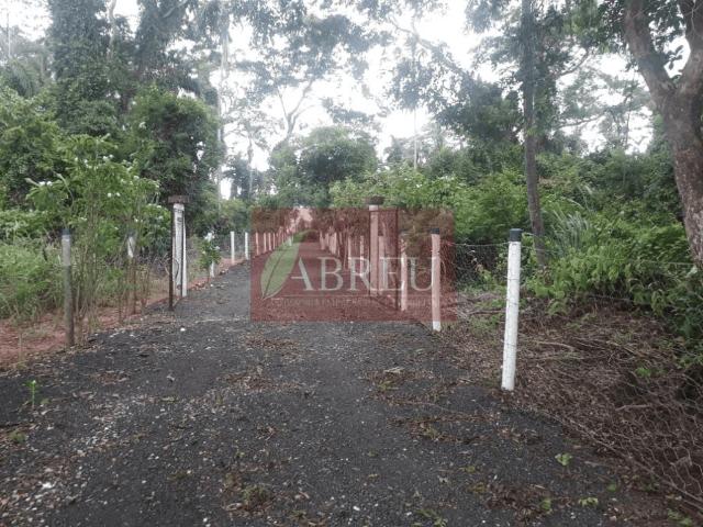 Sítio / Chácara para Venda em Cosmorama/SP Zona Rural 1 Quartos