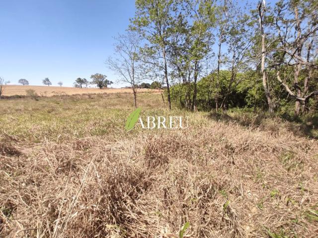 Sítio / Chácara para Venda em Cosmorama/SP Zona Rural