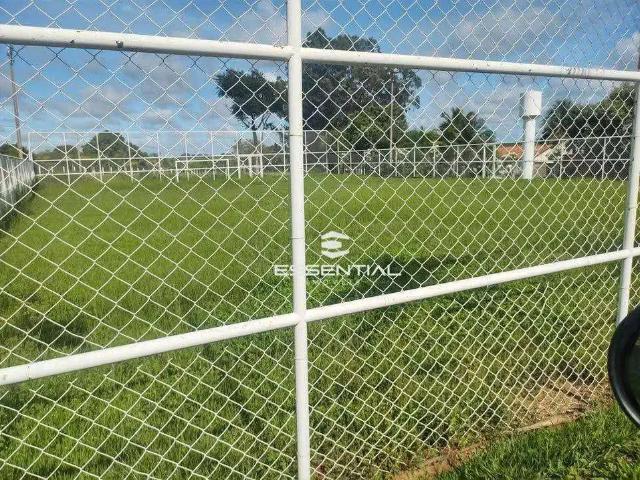 Sítio / Chácara para Venda em Cosmorama/SP Zona Rural 3 Quartos