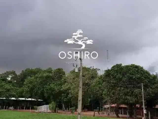 Sítio / Chácara para Venda em Costa Rica/MS Zona Rural