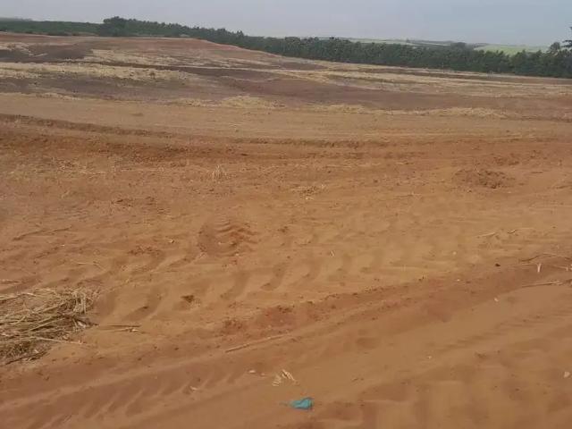 Sítio / Chácara para Venda em Catanduva/SP Área Rural de Catanduva