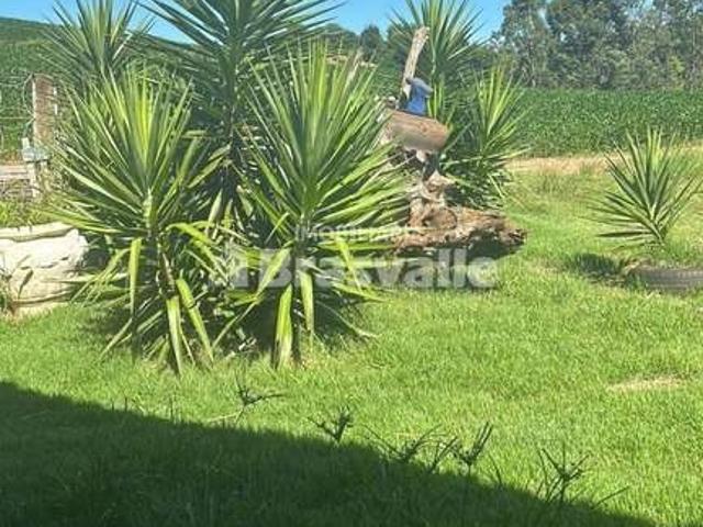 Sítio / Chácara para Venda em Catanduvas/PR Centro