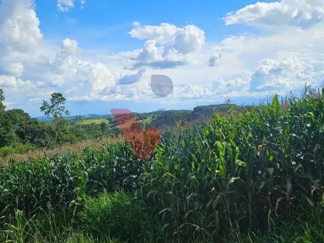 Sítio / Chácara para Venda em Catanduvas/PR Zona Rural 1 Quartos