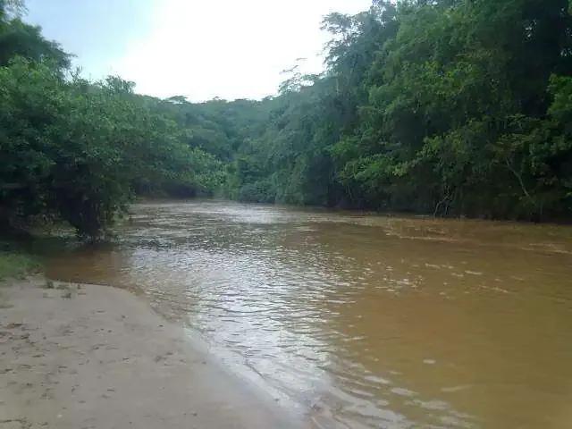 Sítio / Chácara para Venda em Catalão/GO Área Rural de Catalão