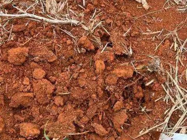 Sítio / Chácara para Venda em Catalão/GO Área Rural de Catalão