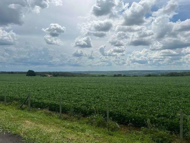 Sítio / Chácara para Venda em Catalão/GO Área Rural de Catalão 1 Quartos