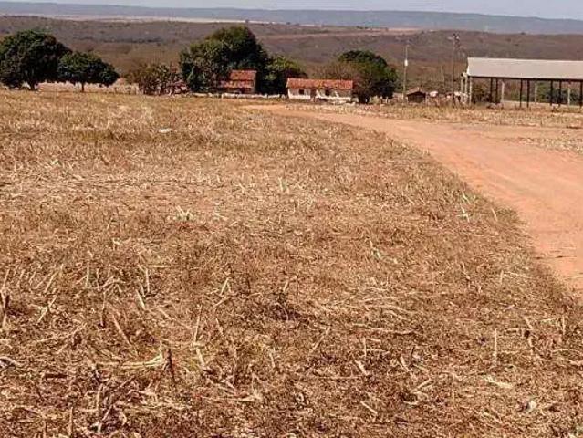 Sítio / Chácara para Venda em Catalão/GO Área Rural de Catalão