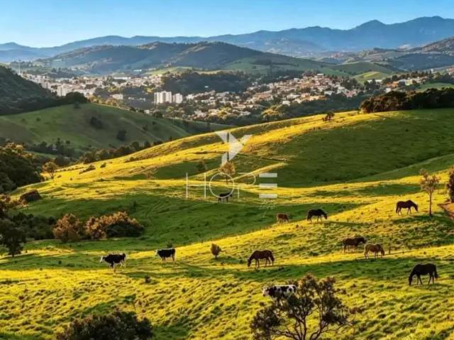 Sítio / Chácara para Venda em Caxambu/MG Zona Rural 1 Quartos