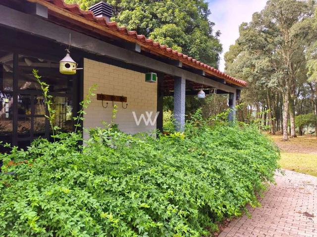 Sítio / Chácara para Venda em Caxias do Sul/RS Monte Bérico 4 Quartos
