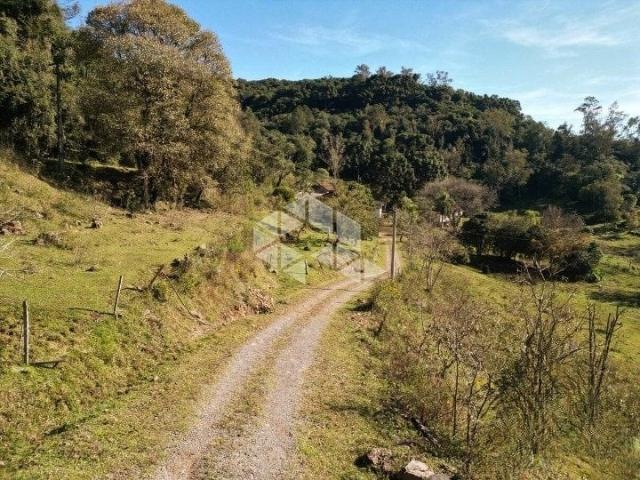 Sítio / Chácara para Venda em Caxias do Sul/RS Nossa Senhora da Conceição