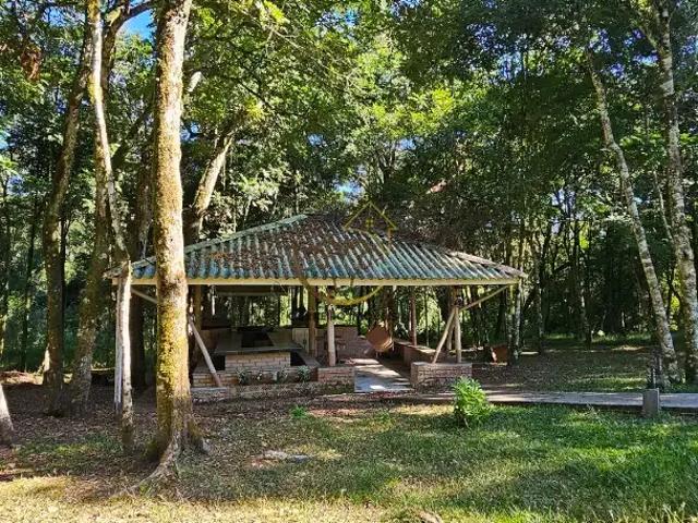 Sítio / Chácara para Venda em Caxias do Sul/RS Nossa Senhora da Saúde 1 Quartos
