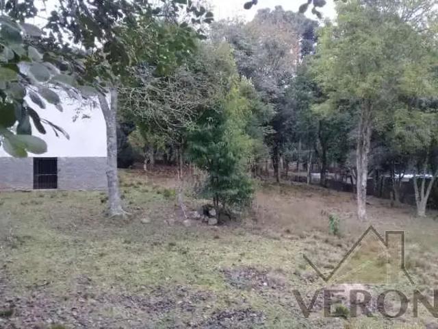 Sítio / Chácara para Venda em Caxias do Sul/RS Ana Rech 3 Quartos