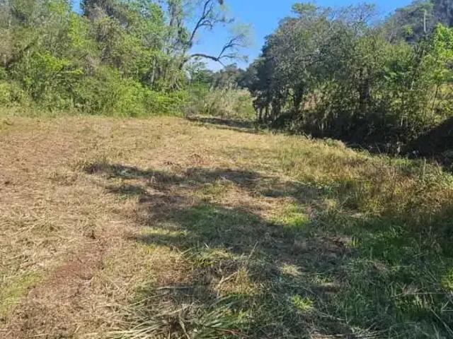 Sítio / Chácara para Venda em Caxias do Sul/RS Caravaggio