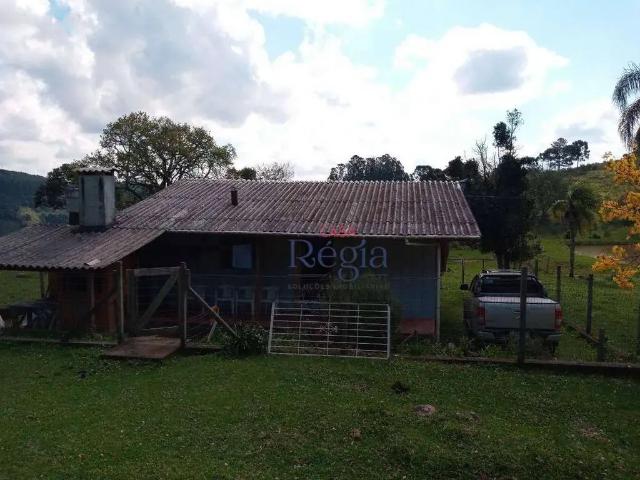 Sítio / Chácara para Venda em Caxias do Sul/RS Criúva 4 Quartos