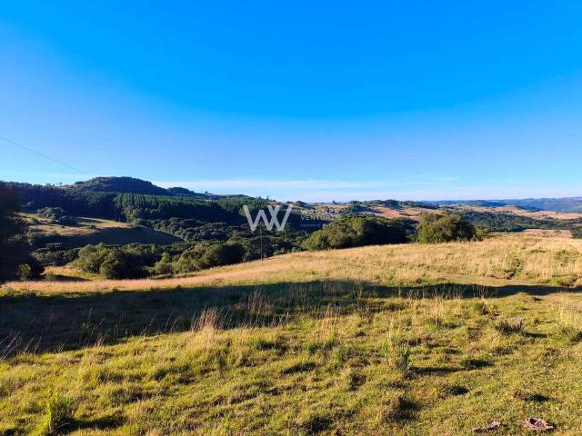 Sítio / Chácara para Venda em Caxias do Sul/RS Criúva 3 Quartos