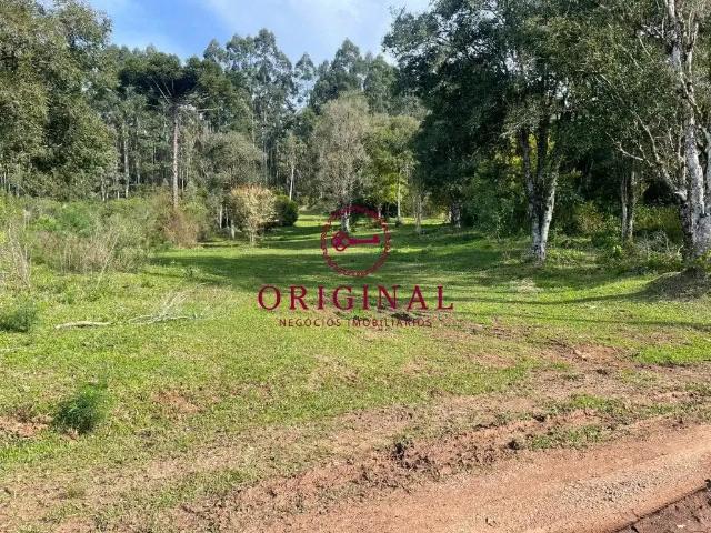 Sítio / Chácara para Venda em Caxias do Sul/RS Galópolis