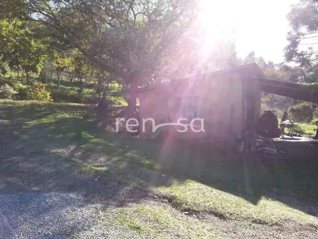 Sítio / Chácara para Venda em Caxias do Sul/RS Loreto 1 Quartos