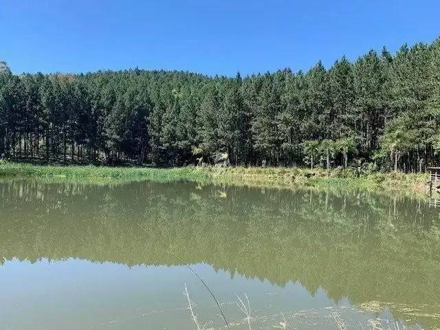 Sítio / Chácara para Venda em Caxias do Sul/RS São Virgílio