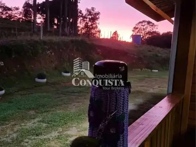 Sítio / Chácara para Venda em Caxias do Sul/RS São Pedro da Terceira Légua 2 Quartos