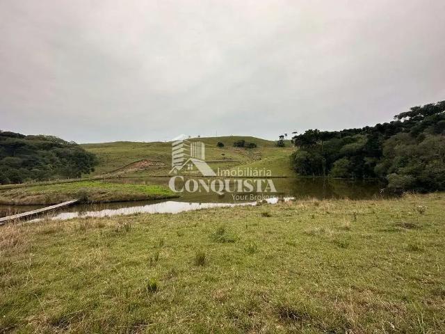 Sítio / Chácara para Venda em Caxias do Sul/RS Vila Seca 3 Quartos