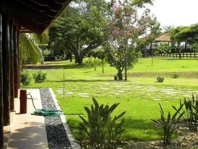 Sítio / Chácara para Venda em Caxias/MA Área Rural de Caxias