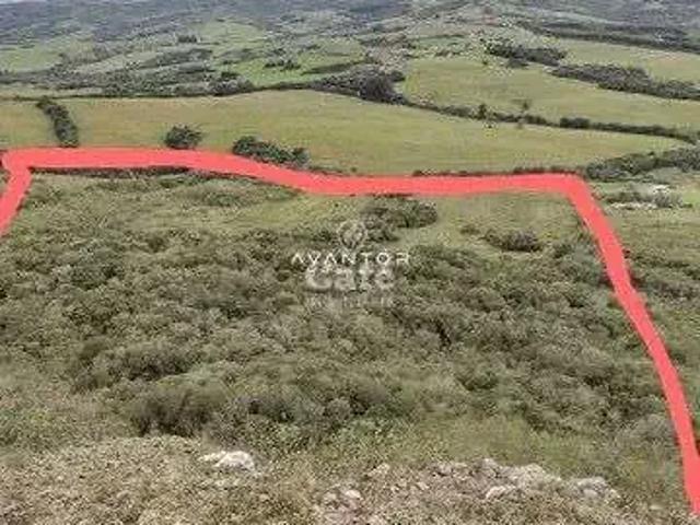 Sítio / Chácara para Venda em Caçapava do Sul/RS Cidade Jardim