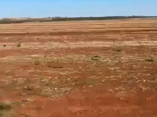 Sítio / Chácara para Venda em Cabeceiras/GO Área Rural de Cabeceiras