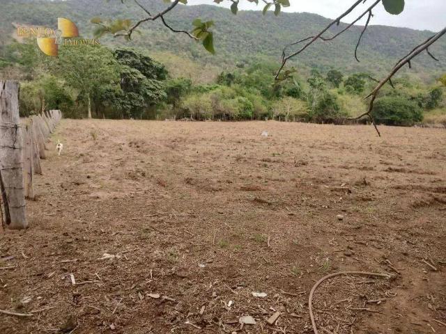 Sítio / Chácara para Venda em Cáceres/MT Zona Rural