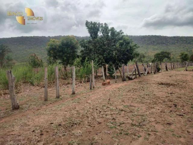 Sítio / Chácara para Venda em Cáceres/MT Zona Rural