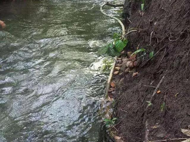 Sítio / Chácara para Venda em Cáceres/MT Zona Rural