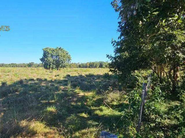Sítio / Chácara para Venda em Cáceres/MT Zona Rural