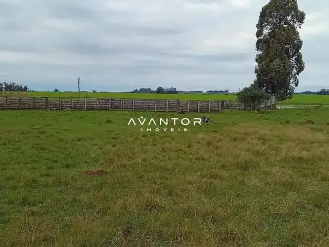 Sítio / Chácara para Venda em Cachoeira do Sul/RS Zona Rural