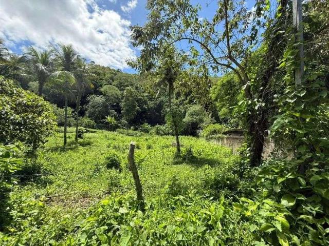 Sítio / Chácara para Venda em Cachoeiras de Macacu/RJ Zona Rural 1 Quartos