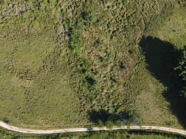 Sítio / Chácara para Venda em Cachoeiras de Macacu/RJ Zona Rural 2 Quartos