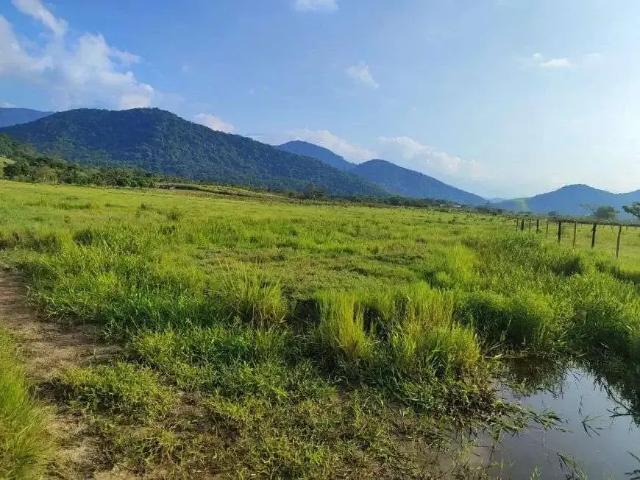 Sítio / Chácara para Venda em Cachoeiras de Macacu/RJ Zona Rural 2 Quartos