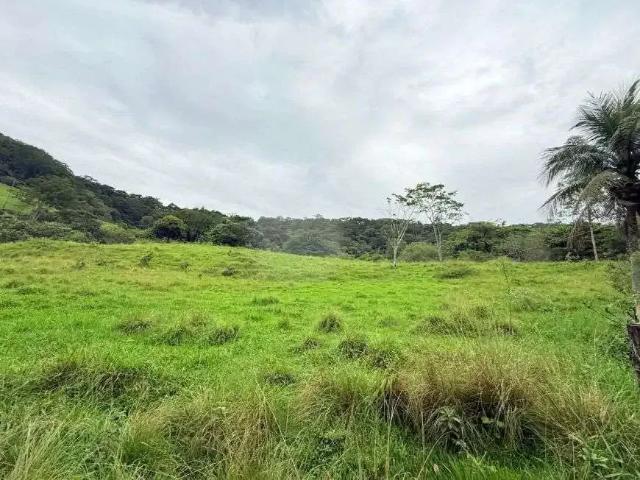 Sítio / Chácara para Venda em Cachoeiras de Macacu/RJ Zona Rural 4 Quartos