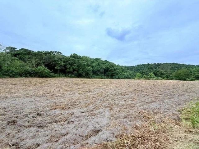 Sítio / Chácara para Venda em Cachoeiras de Macacu/RJ Zona Rural 4 Quartos