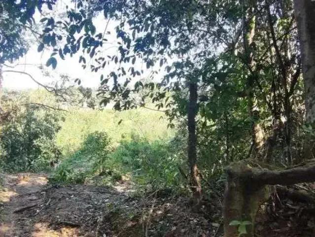 Sítio / Chácara para Venda em Cachoeiras de Macacu/RJ Zona Rural