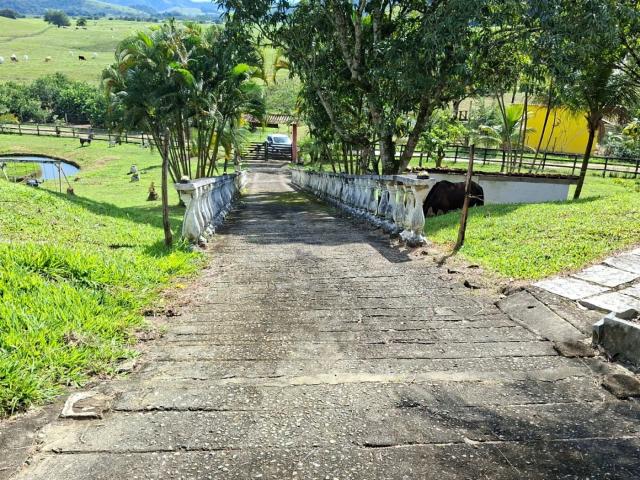 Sítio / Chácara para Venda em Cachoeiras de Macacu/RJ Área Rural de Cachoeiras de Macacu 3 Quartos