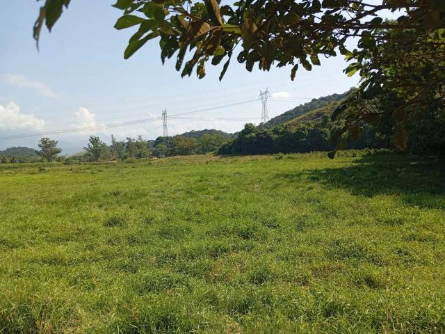 Sítio / Chácara para Venda em Cachoeiras de Macacu/RJ Gleba Colégio