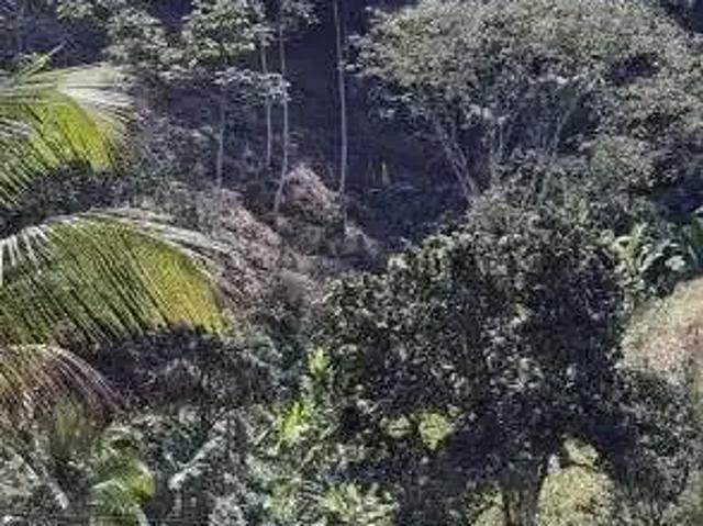 Sítio / Chácara para Venda em Cachoeiras de Macacu/RJ Papucaia