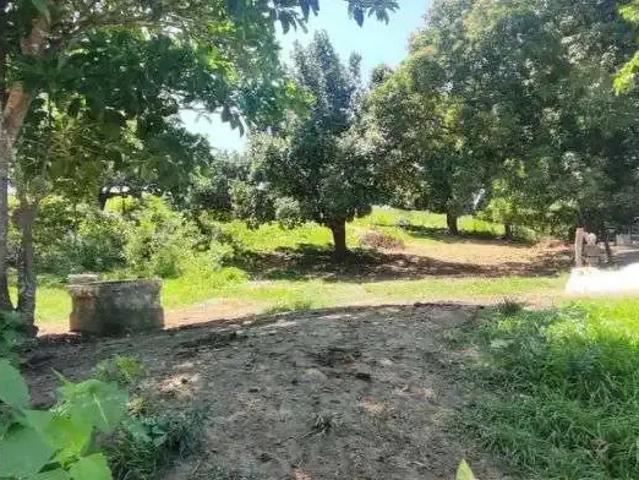 Sítio / Chácara para Venda em Cachoeiras de Macacu/RJ Papucaia