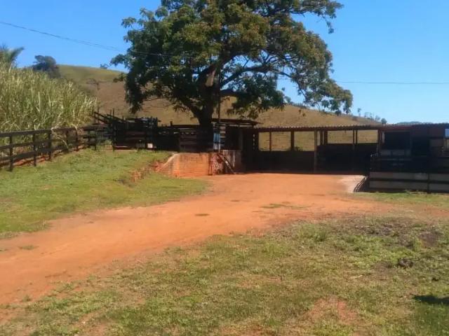Sítio / Chácara para Venda em Cachoeiro de Itapemirim/ES Aeroporto