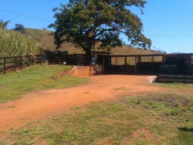 Sítio / Chácara para Venda em Cachoeiro de Itapemirim/ES Aeroporto