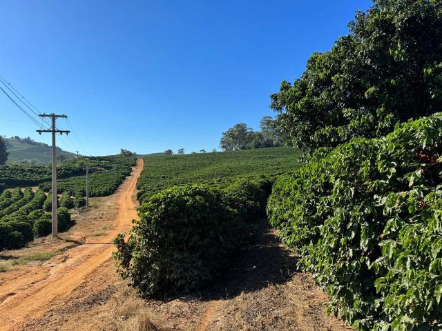 Sítio / Chácara para Venda em Caconde/SP Área Rural de Caconde