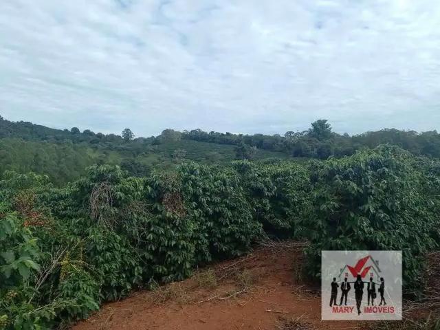 Sítio / Chácara para Venda em Caconde/SP Centro